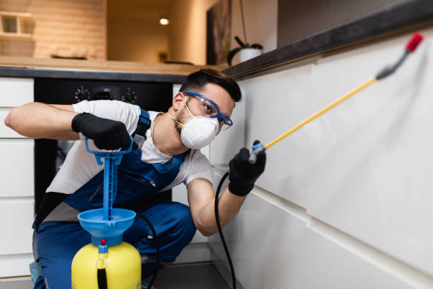 Best Pest Inspection Near Me  in Ripley, MS