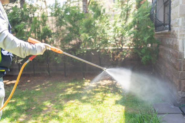 Best Wildlife Control Services  in Ripley, MS